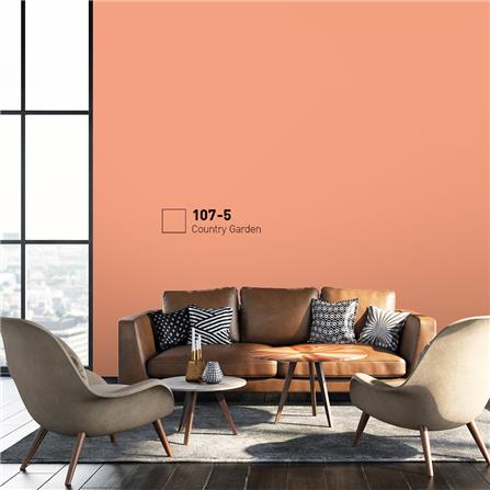 สีน้ำทาภายนอก BEGER COOL DIAMONDSHIELD 15 สี COUNTRY GARDEN #107-5 กึ่งเงา 9 ลิตร_1