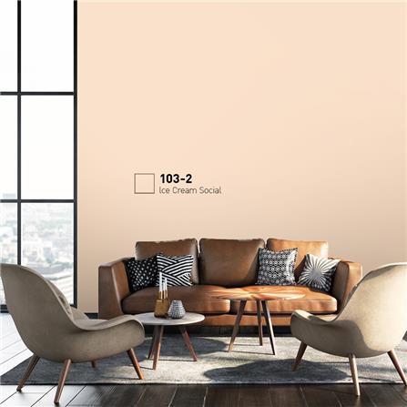 สีน้ำทาภายนอก BEGER COOL DIAMONDSHIELD 15 สี ICE CREAM SOCIAL #103-2 กึ่งเงา 9 ลิตร_1