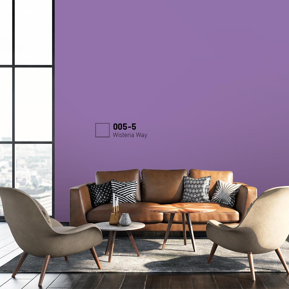 สีน้ำทาภายนอก BEGER COOL DIAMONDSHIELD 15 สี WISTERIA WAY #005-5 กึ่งเงา 9 ลิตร