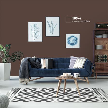 สีน้ำทาภายนอก BEGER COOL DIAMONDSHIELD 10 สี COLOMBIAN COFFEE #185-6 กึ่งเงา 9 ลิตร_1