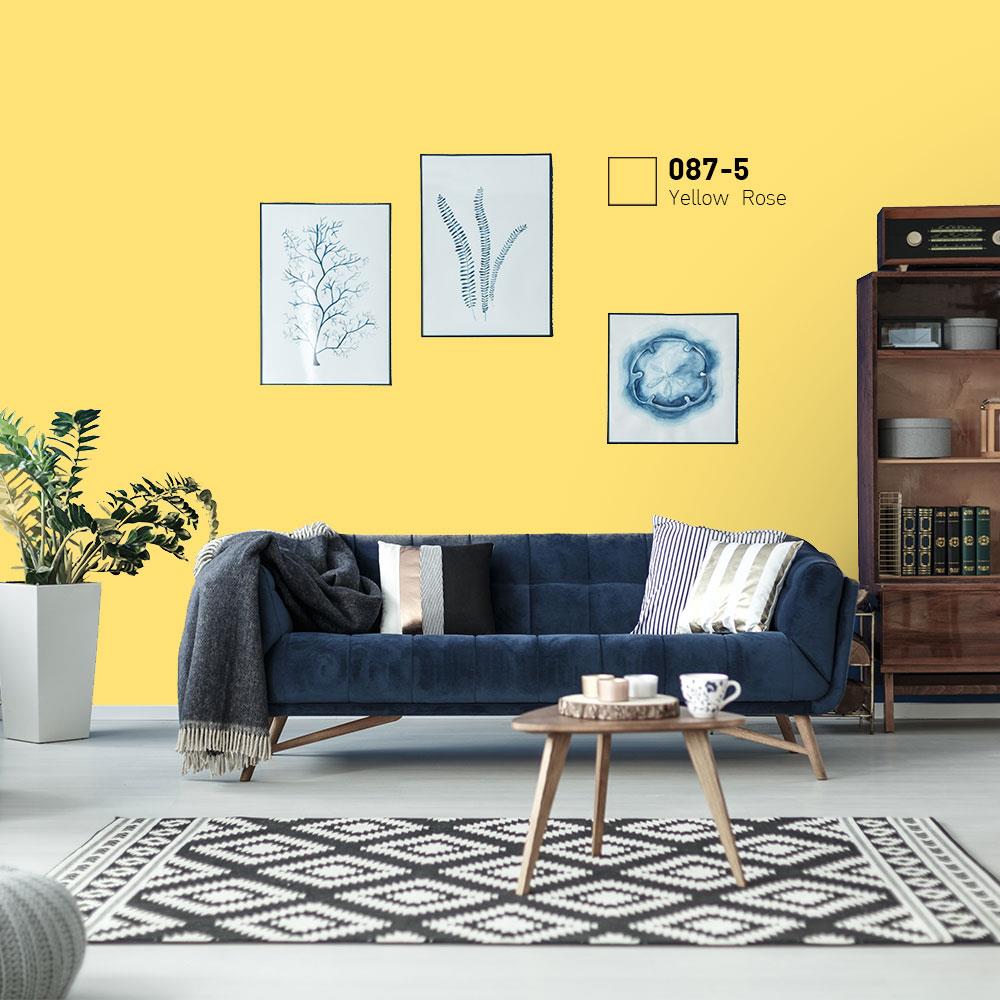 สีน้ำทาภายนอก ชนิดกึ่งเงา BEGER COOL DIAMONDSHIELD 10 087-5 สี YELLOW ROSE 9 ลิตร