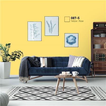 สีน้ำทาภายนอก ชนิดกึ่งเงา BEGER COOL DIAMONDSHIELD 10 087-5 สี YELLOW ROSE 9 ลิตร_1