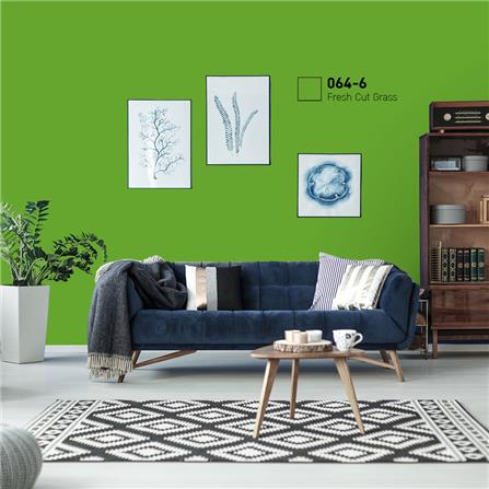 สีน้ำทาภายนอก BEGER COOL DIAMONDSHIELD 10 #064-6 สี FRESH CUT GRASS กึ่งเงา 9 ลิตร_1