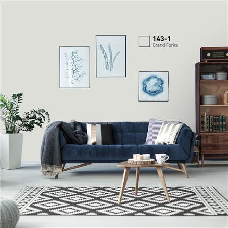 สีน้ำทาภายนอก BEGER COOL DIAMONDSHIELD 10 #143-1 สี GRAND FORKS กึ่งเงา 9 ลิตร_1