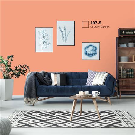 สีน้ำทาภายนอก ชนิดกึ่งเงา BEGER COOL DIAMONDSHIELD 10 107-5 สี COUNTRY GARDEN 9 ลิตร_1