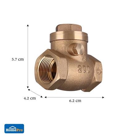 เช็ควาล์วสวิง DEXZON 3/4 นิ้ว_3