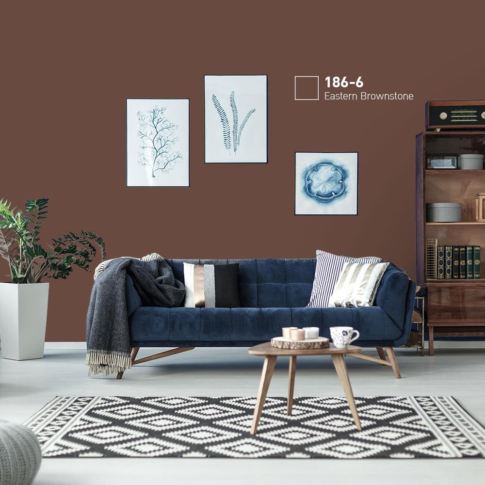 สีน้ำทาภายนอก BEGERCOOL DIAMONDSHIELD 10 #186-6 สี EASTERN BROWNSTONE กึ่งเงา 9 ลิตร