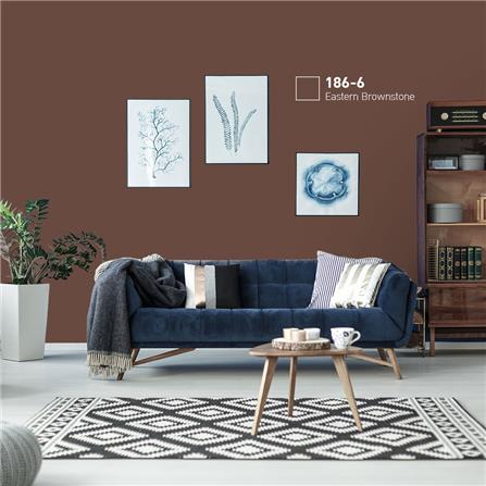 สีน้ำทาภายนอก BEGERCOOL DIAMONDSHIELD 10 #186-6 สี EASTERN BROWNSTONE กึ่งเงา 9 ลิตร_1