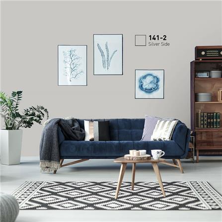 สีน้ำทาภายนอก BEGER COOL DIAMONDSHIELD 10 #141-2 สี SILVER SIDE กึ่งเงา 9 ลิตร_1