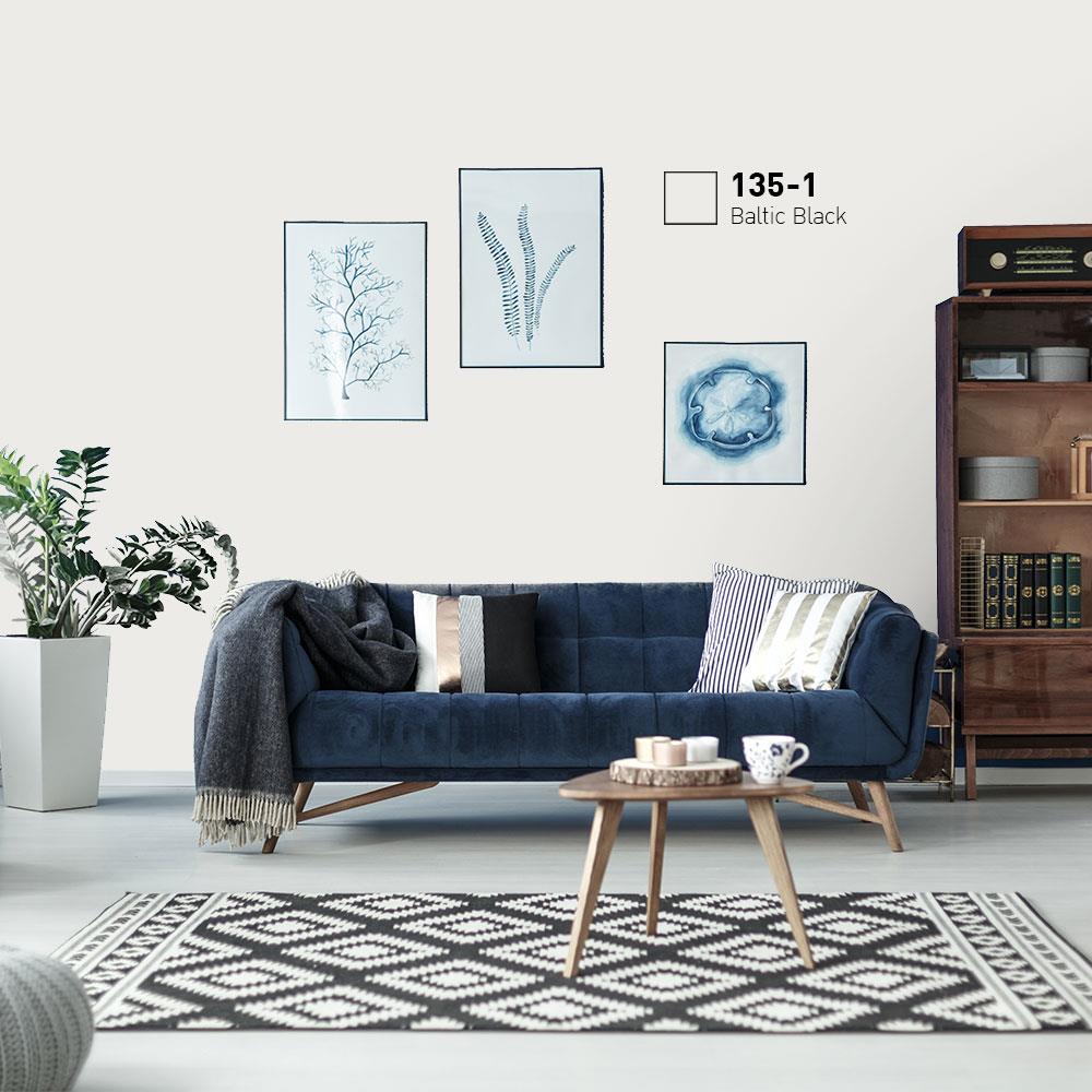 สีน้ำทาภายนอก BEGER COOL DIAMONDSHIELD 10 #135-1 สี BALTIC BLACK กึ่งเงา 9 ลิตร