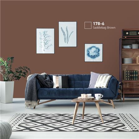 สีน้ำทาภายนอก BEGER COOL DIAMONDSHIELD 10 #178-6 สี SADDLEBAG BROWN กึ่งเงา 9 ลิตร_1