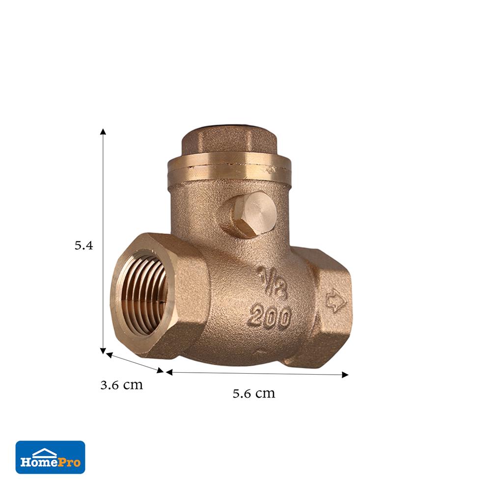 เช็ควาล์วสวิง DEXZON 1/2 นิ้ว