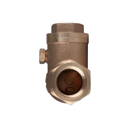 เช็ควาล์วสวิง DEXZON 1/2 นิ้ว_2