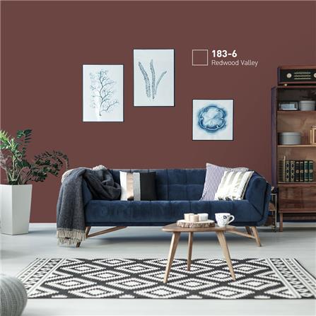 สีน้ำทาภายนอก BEGERCOOL DIAMONDSHIELD 10 #183-6 สี REDWOOD VALLEY กึ่งเงา 9 ลิตร_1