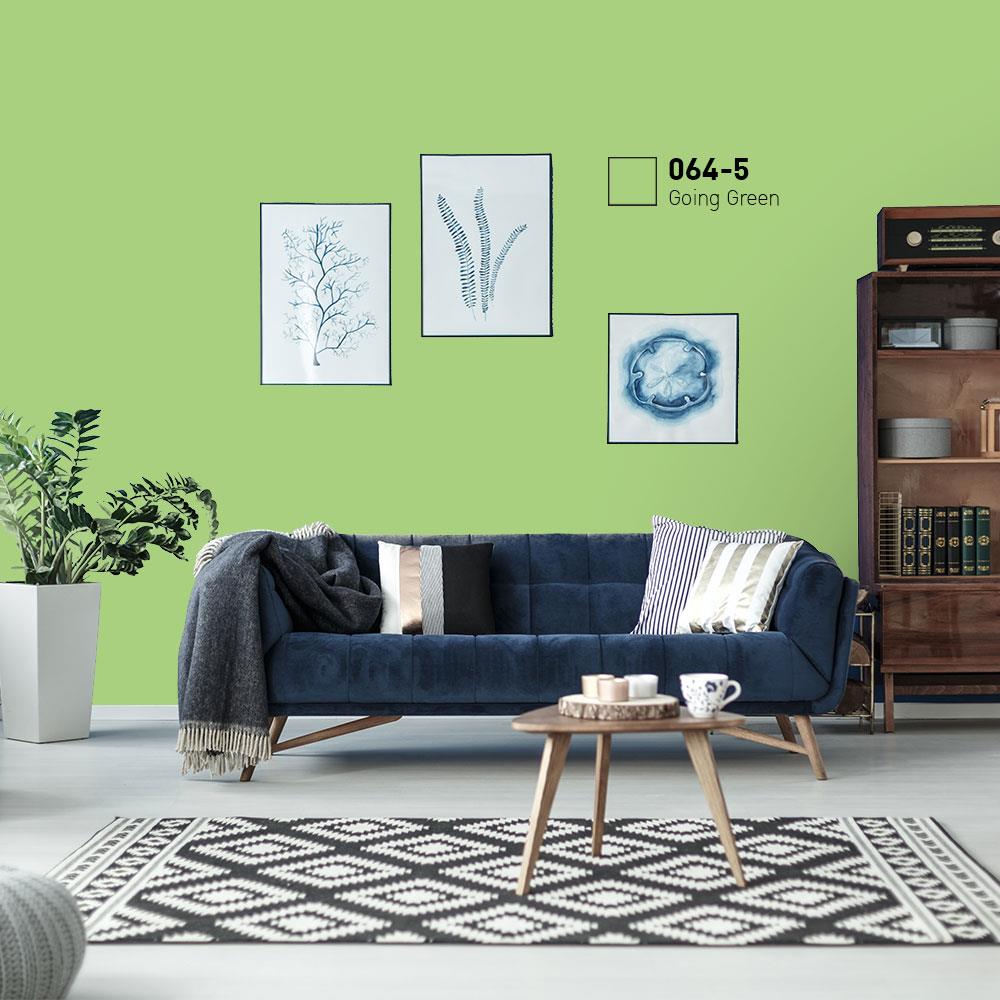 สีน้ำทาภายนอก ชนิดกึ่งเงา BEGERCOOL DIAMONDSHIELD 10 064-5 สี FAVORITE PLANT 9 ลิตร