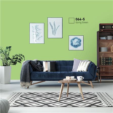 สีน้ำทาภายนอก ชนิดกึ่งเงา BEGERCOOL DIAMONDSHIELD 10 064-5 สี FAVORITE PLANT 9 ลิตร_1