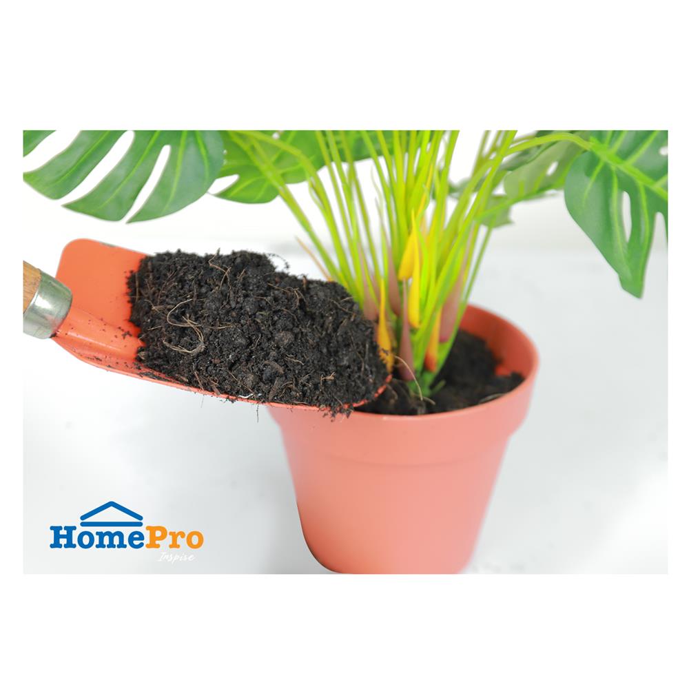 ดินเพาะกล้า SPRING 10 กก.