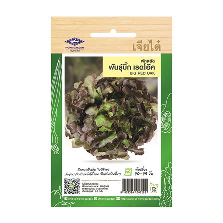 เมล็ดพันธุ์ผักกาดหอม บิ๊กเรดโอ๊ค ตราเจียไต๋