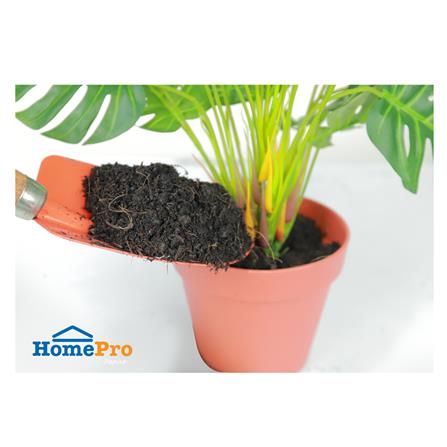 ดินเพาะกล้า SPRING 20 กก._2