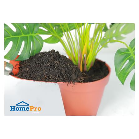 ดินผสมขุยมะพร้าว SPRING 10 กก._2
