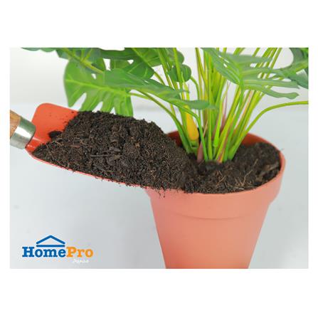 ดินผสมใบก้ามปู SPRING 10 กก._2