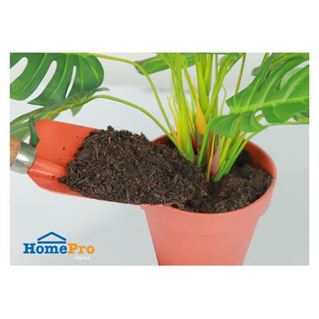 ดินเพาะกล้า SPRING 5 กก._2