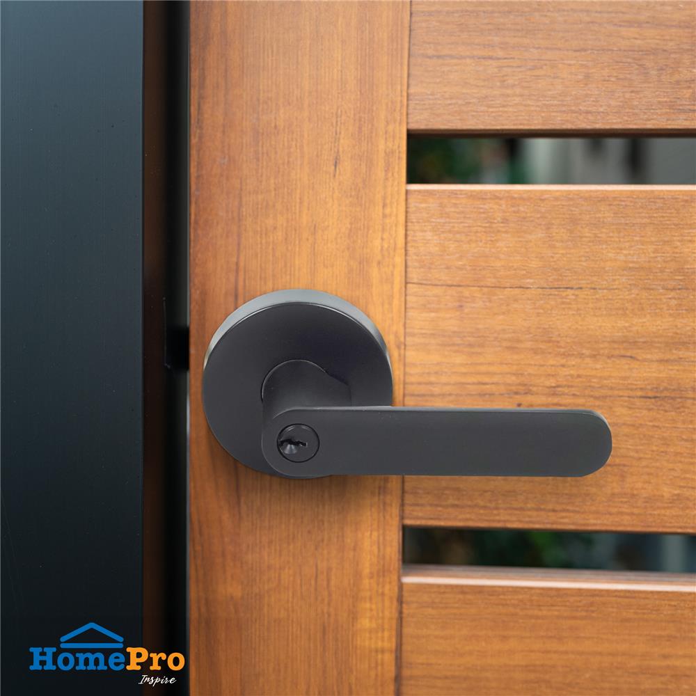 เขาควายทั่วไป AZLE L-005 สีดำ