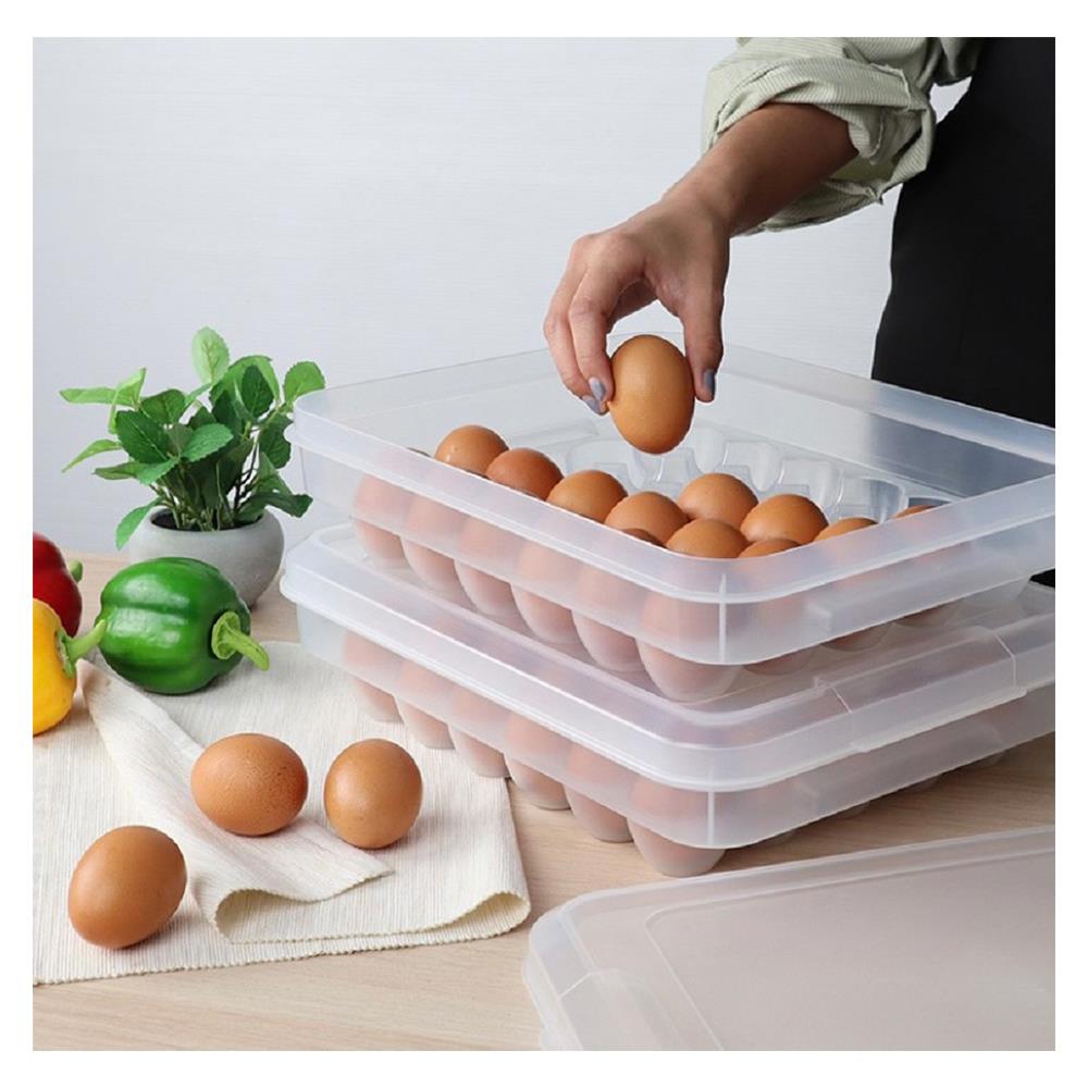 กล่องเก็บไข่ 30 ฟอง MICRONWARE