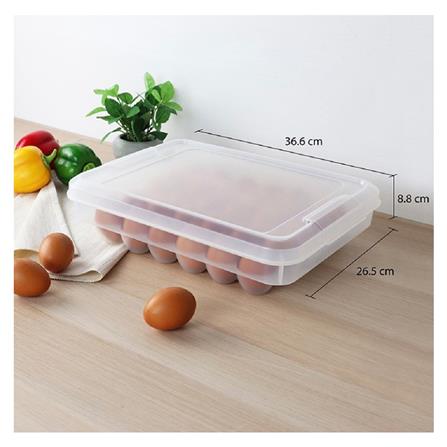 กล่องเก็บไข่ 30 ฟอง MICRONWARE_3