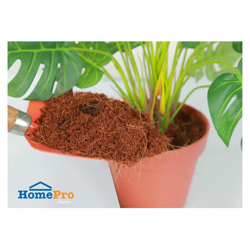 ขุยมะพร้าวละเอียด SPRING 3 กก.