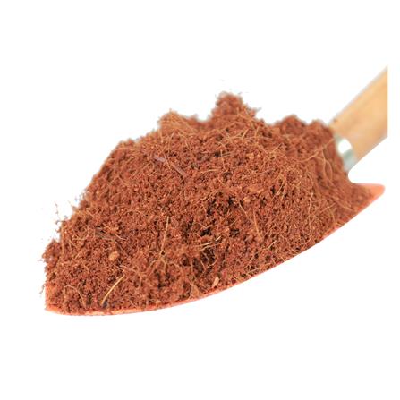 ขุยมะพร้าวละเอียด SPRING 1 กก._1