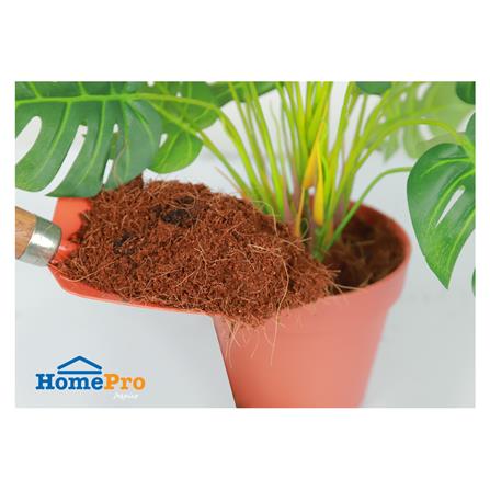 ขุยมะพร้าวละเอียด SPRING 1 กก._2