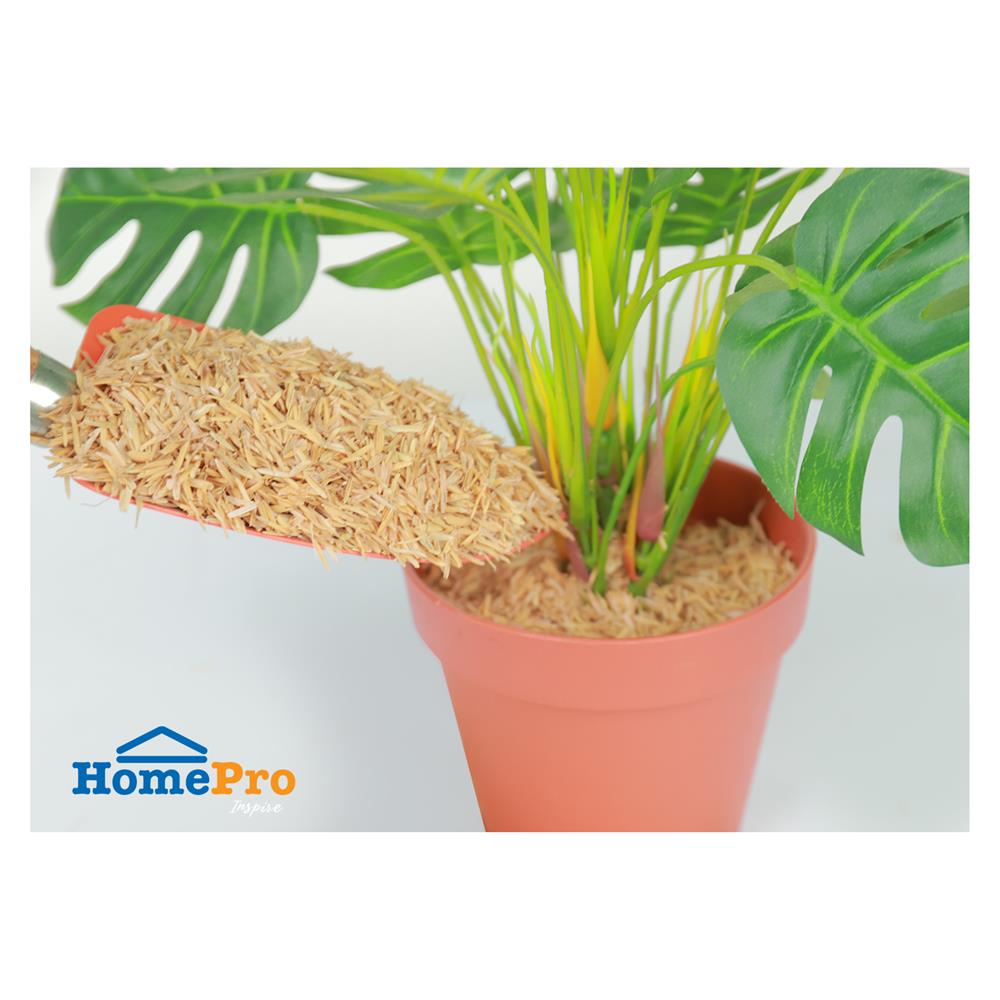 แกลบดิบ SPRING 1 กก.