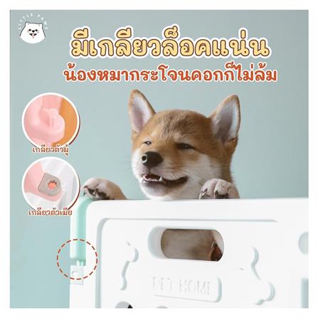 คอกสุนัขเพ็ทโฮม HOSTAIL L สีเขียวขาว_2