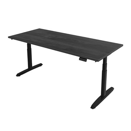 โต๊ะทำงานปรับระดับ ERGOTREND SIT 2 STAND GEN5 120 ซม. สี TWILIGHT ELM/ดำ