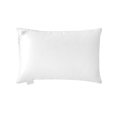 หมอนหนุน ใยสังเคราะห์ FROLINA INFRARED FIRM 19x29 นิ้ว สีขาว_1