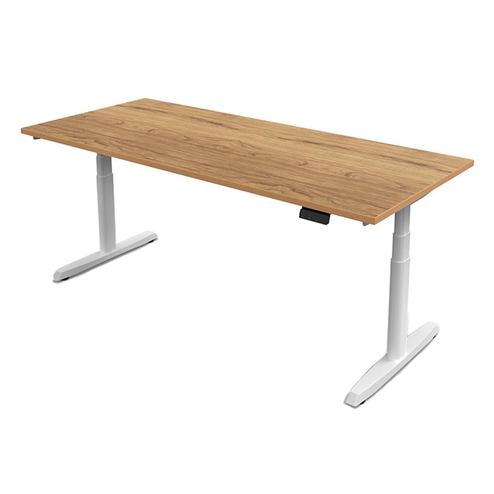 โต๊ะปรับระดับไฟฟ้า ERGOTREND SIT 2 STAND GEN5 120 ซม. สี VINTAGE OAK/ขาว