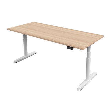 โต๊ะทำงานปรับระดับ ERGOTREND SIT 2 STAND GEN5 120 ซม. สี SHIMO ASH/ขาว