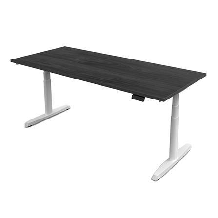 โต๊ะทำงานปรับระดับ ERGOTREND SIT 2 STAND GEN5 120 ซม. สี TWILIGHT ELM/ขาว