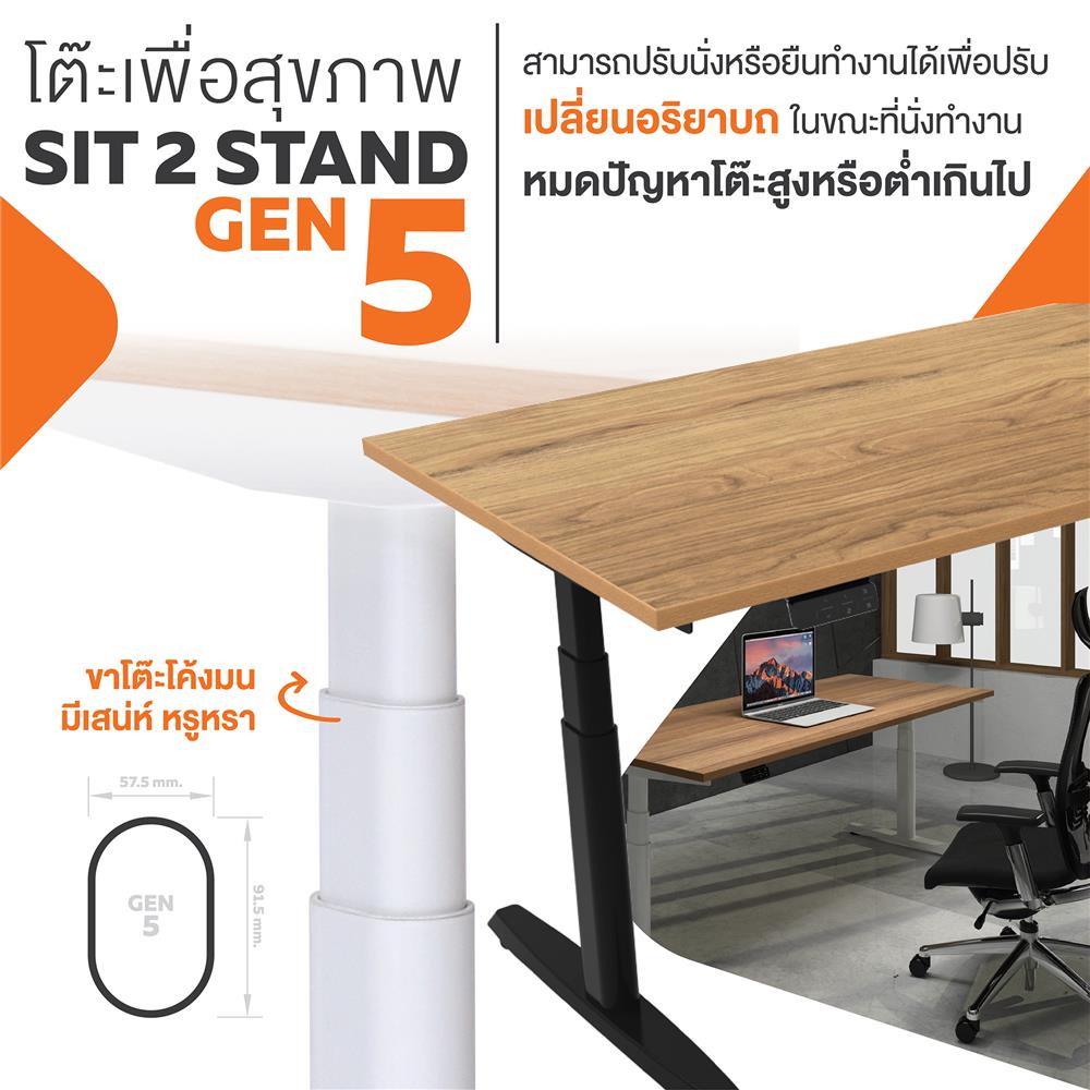 โต๊ะทำงานปรับระดับ ERGOTREND SIT 2 STAND GEN5 180 ซม. สี CLASSIC TEAK/ขาว