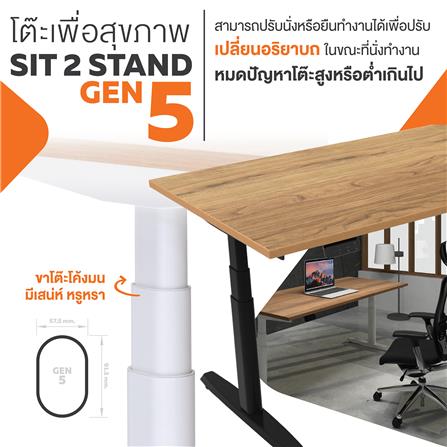 โต๊ะทำงานปรับระดับ ERGOTREND SIT 2 STAND GEN5 180 ซม. สี CLASSIC TEAK/ขาว_1