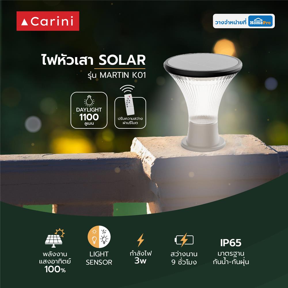 ไฟหัวเสา SOLAR CARINI MARTIN K01 3 วัตต์ DAYLIGHT สีดำ