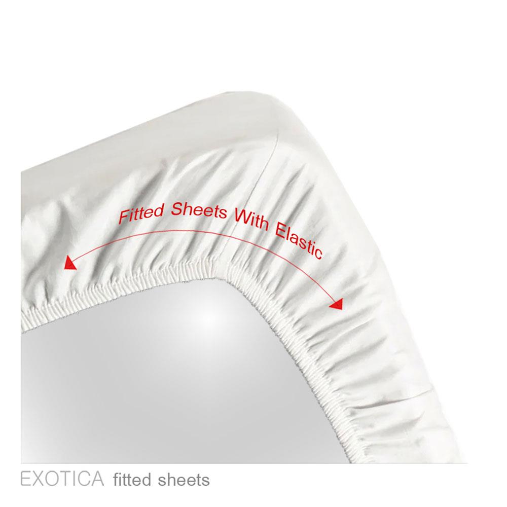 ชุดผ้าปูที่นอน 3.5 ฟุต 2 ชิ้น EXOTICA 31XP FUPI