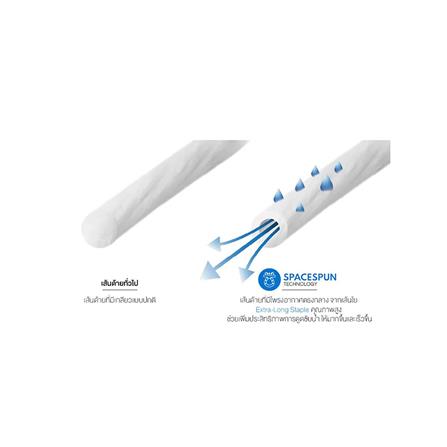 ผ้าขนหนู FROLINA SPACESPUN 15X31 นิ้ว สีเทา_6