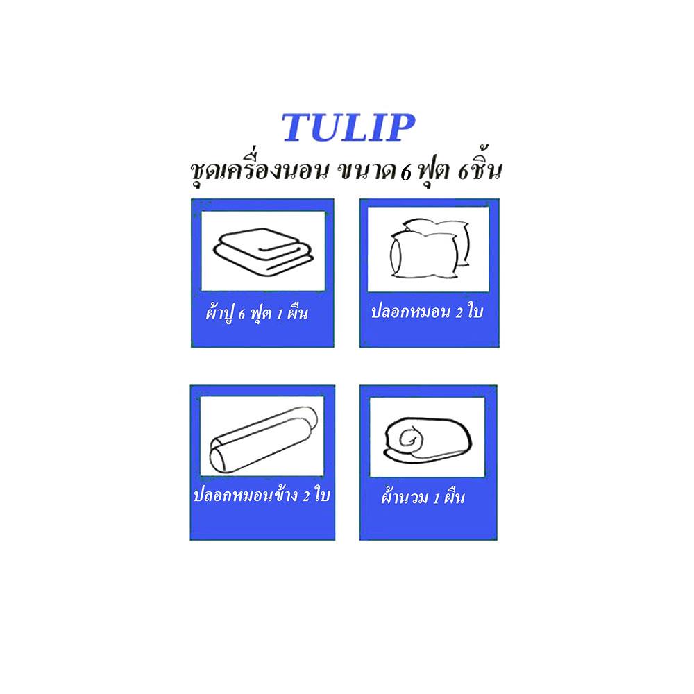 ชุดผ้าปูที่นอน 6 ฟุต 6 ชิ้น TULIP IN THE MOMENT 60235-DL404