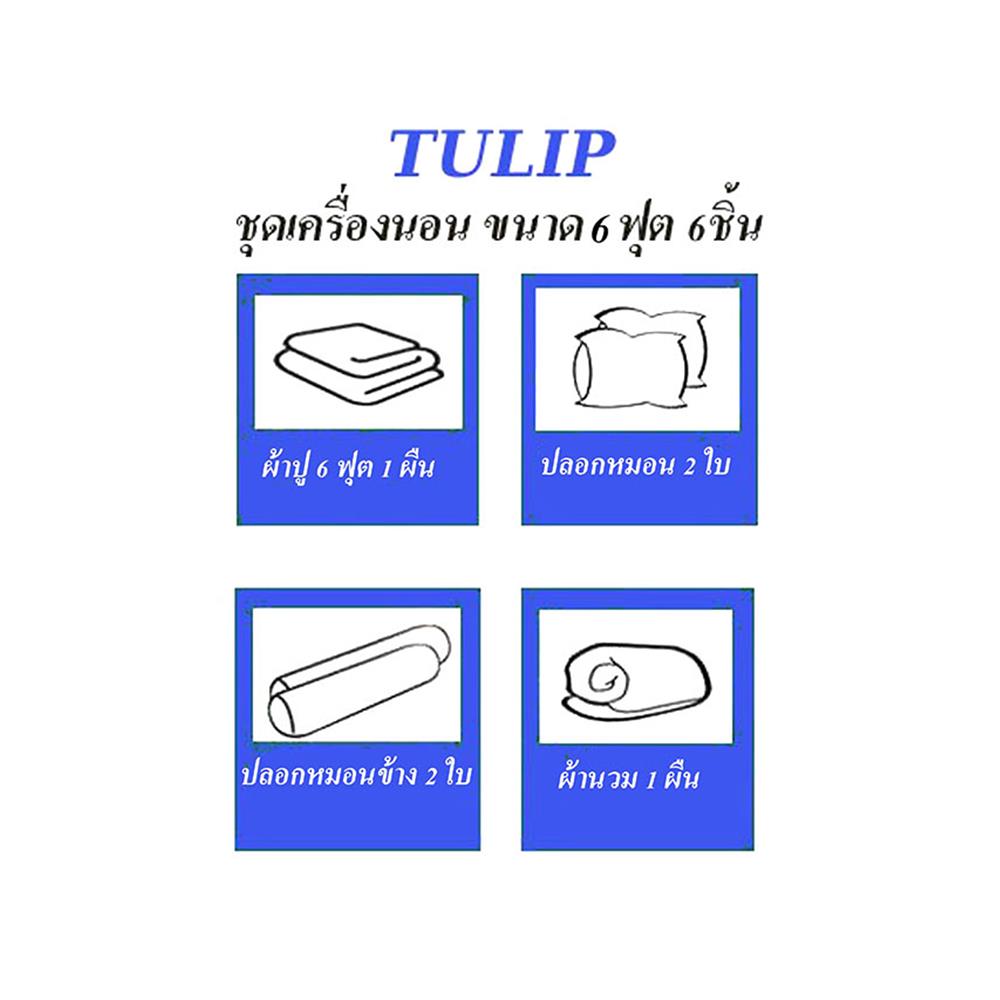 ชุดผ้าปูที่นอน 6 ฟุต 6 ชิ้น TULIP IN THE MOMENT 60235-DL409