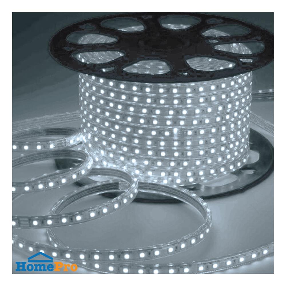 ไฟเส้น LED HI-TEK 5.3 วัตต์/ม. DAYLIGHT 50 ม.