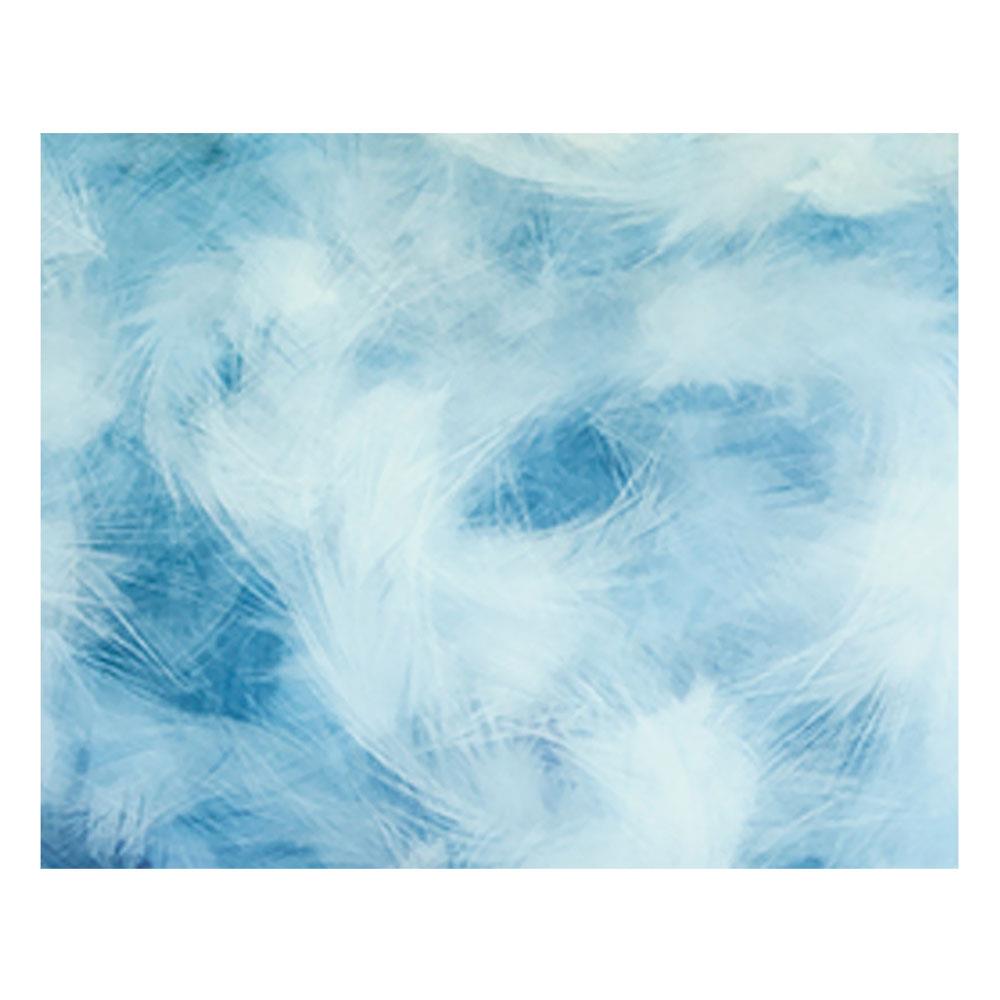 ปลอกผ้านวม EXOTICA 31XP SWBL 100X90 นิ้ว