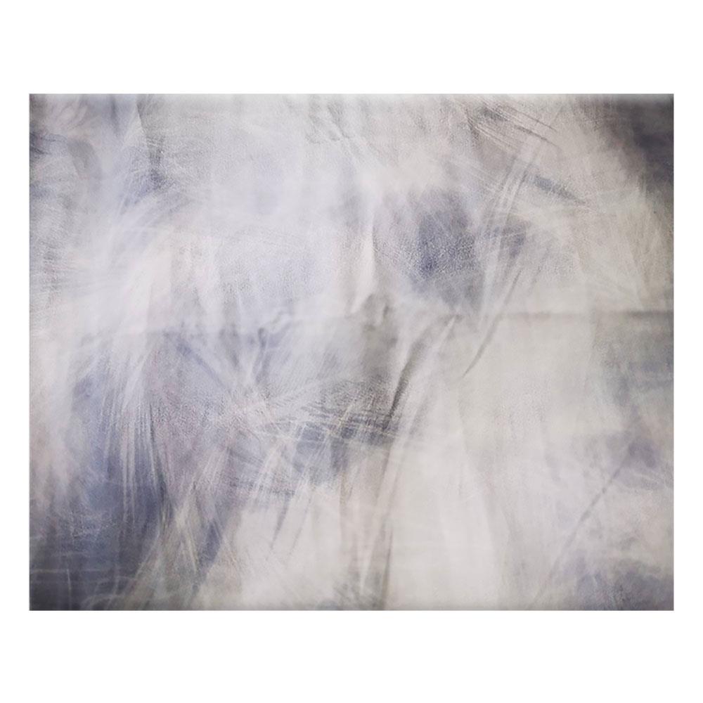 ปลอกผ้านวม EXOTICA 31XP SWBL 100X90 นิ้ว