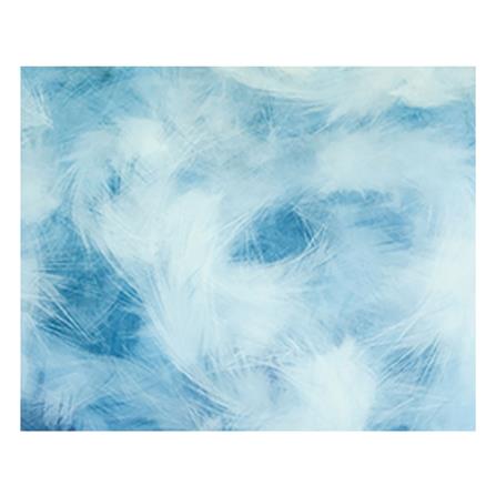 ปลอกผ้านวม EXOTICA 31XP SWBL 100X90 นิ้ว_3